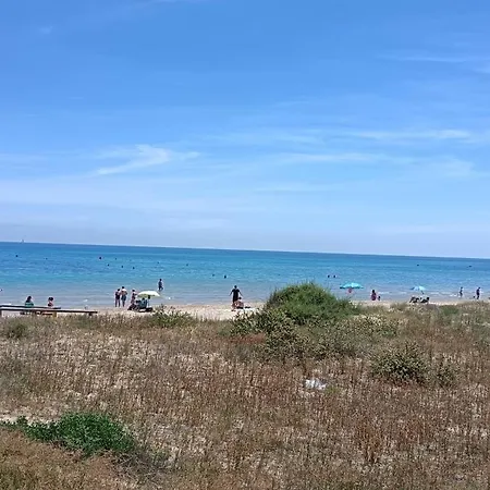 View Bay Apartament *